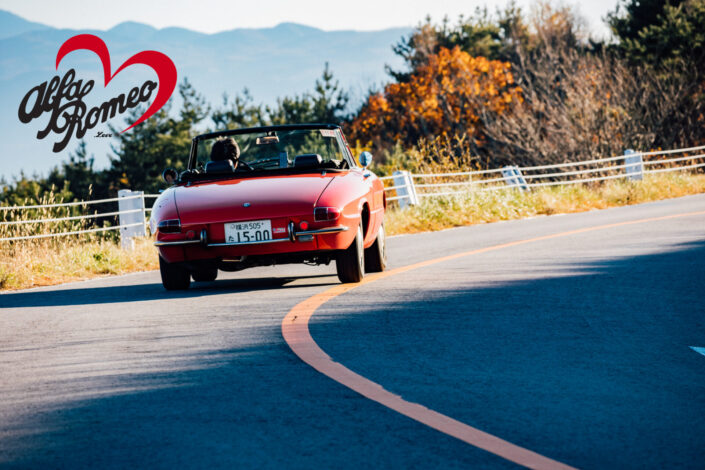 alfaromeo.love